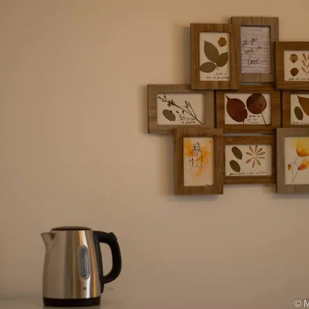 Of Comfort Apartment