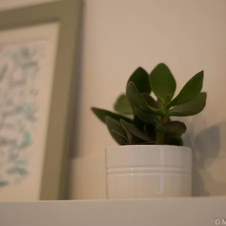 Apartment Of Comfort
